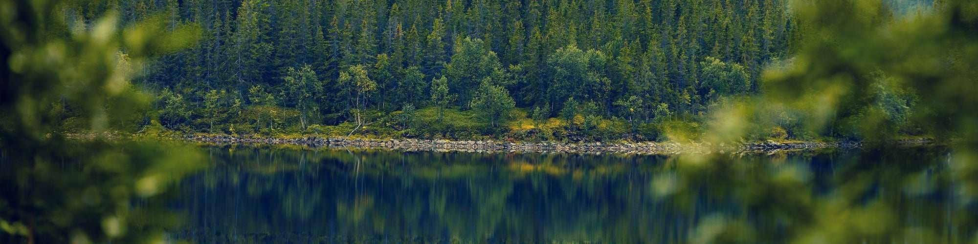 Aménagement et gestion de milieux naturels ~ Terideal