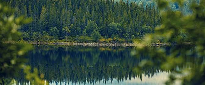 Aménagement et gestion de milieux naturels ~ Terideal