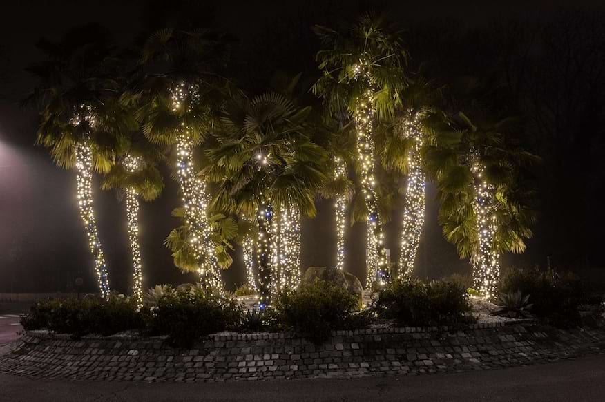 Illumination Plessis palmiers 2019