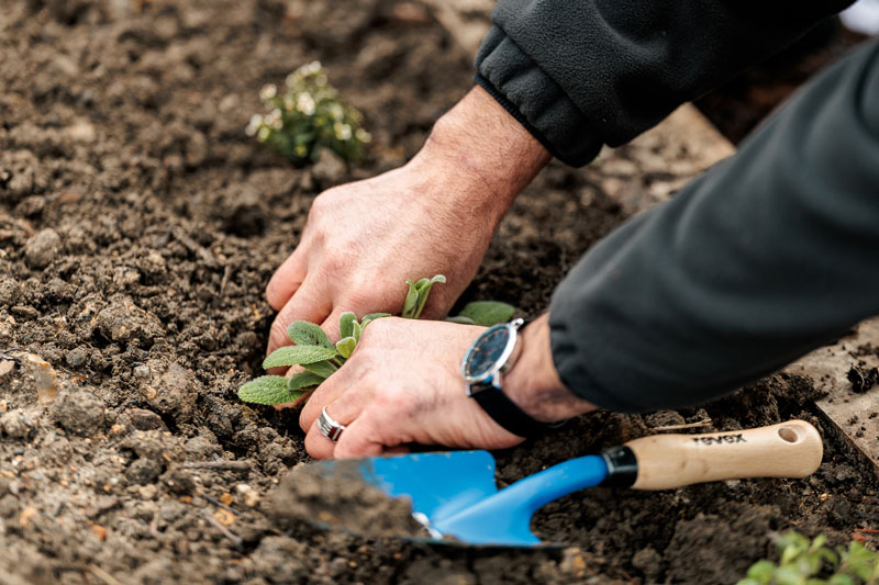 parc madelaine riffaud - mains qui plantent 