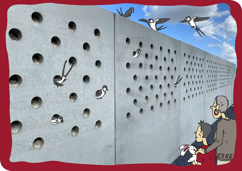 reprise illustrée falaises à hirondelles à dourges