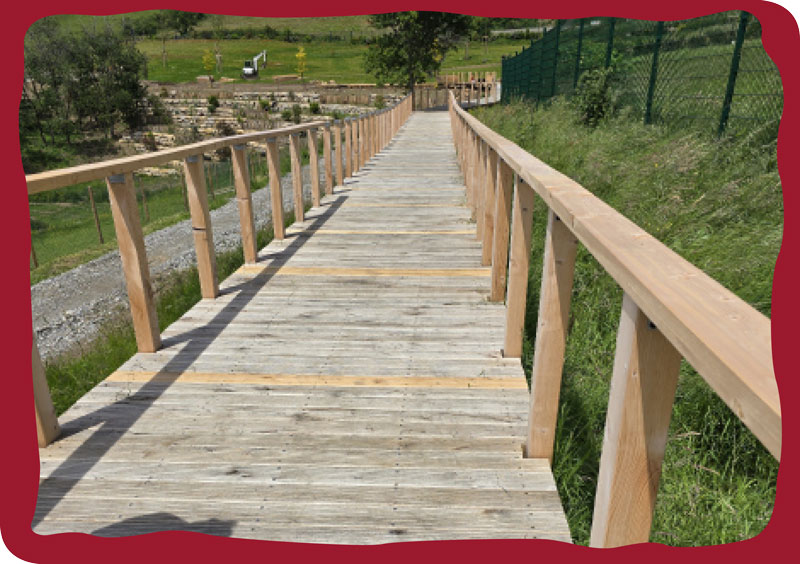 reprise illustrée zoo saint martin la plaine