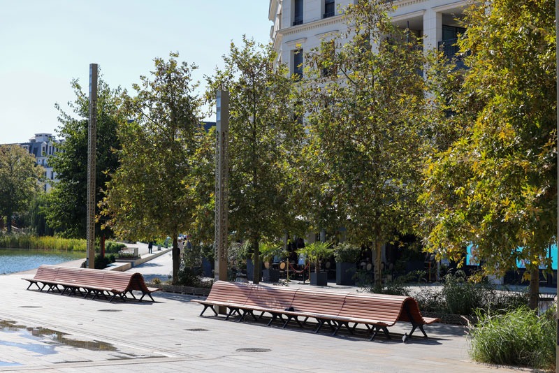 bancs avec des arbres