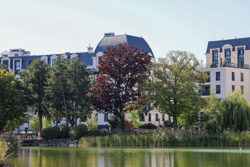 arbres en bord de bassin