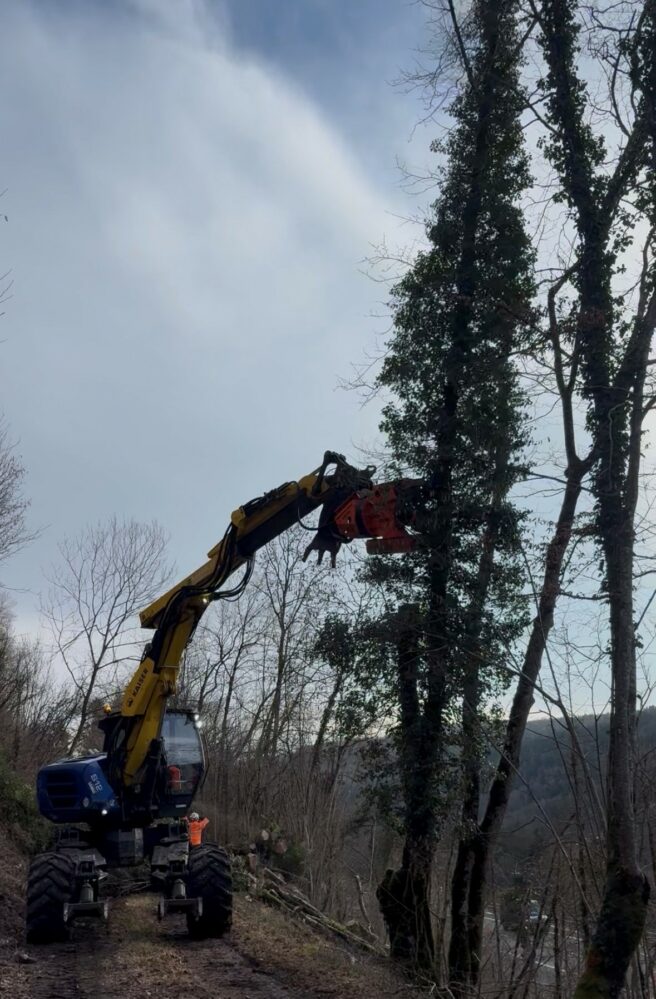 engin d'élagage