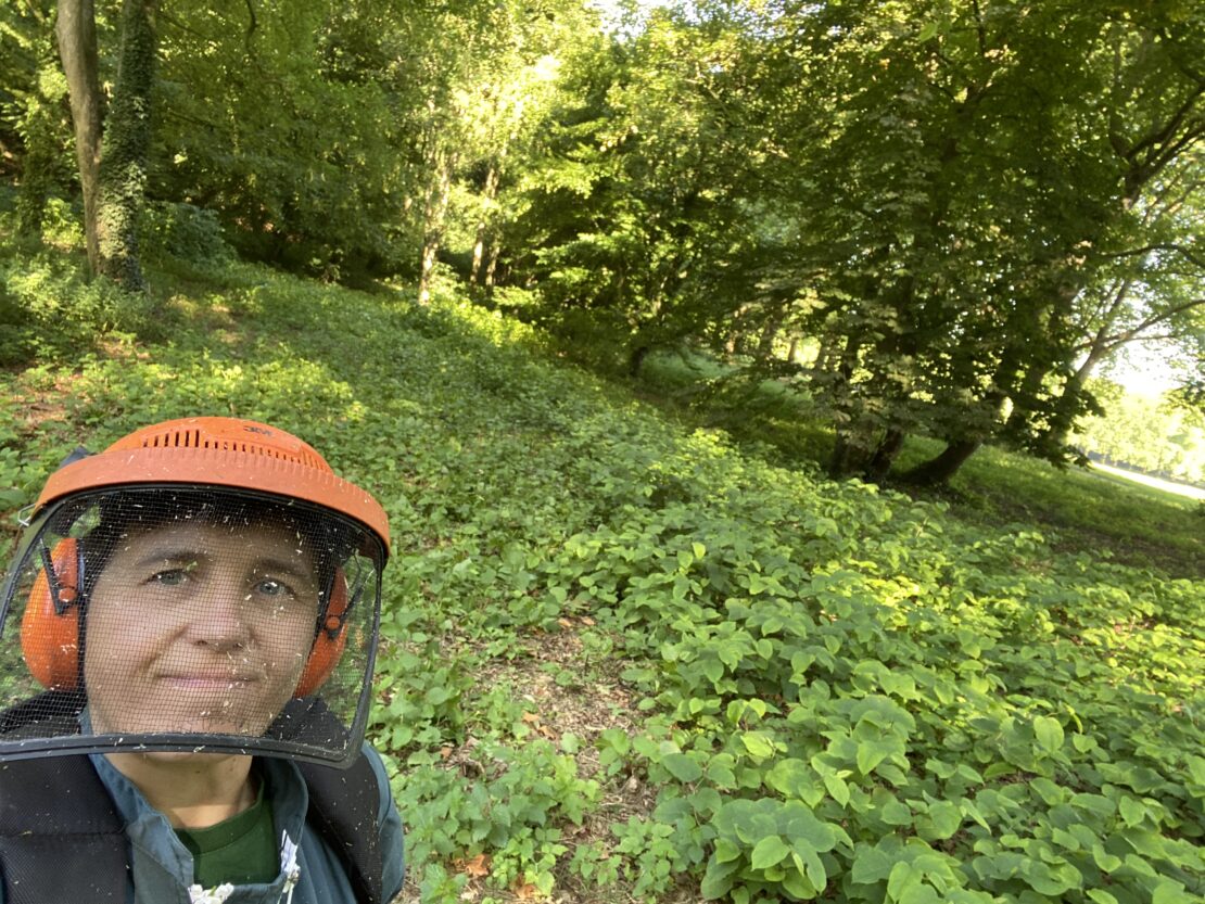 photo maryline désherbage