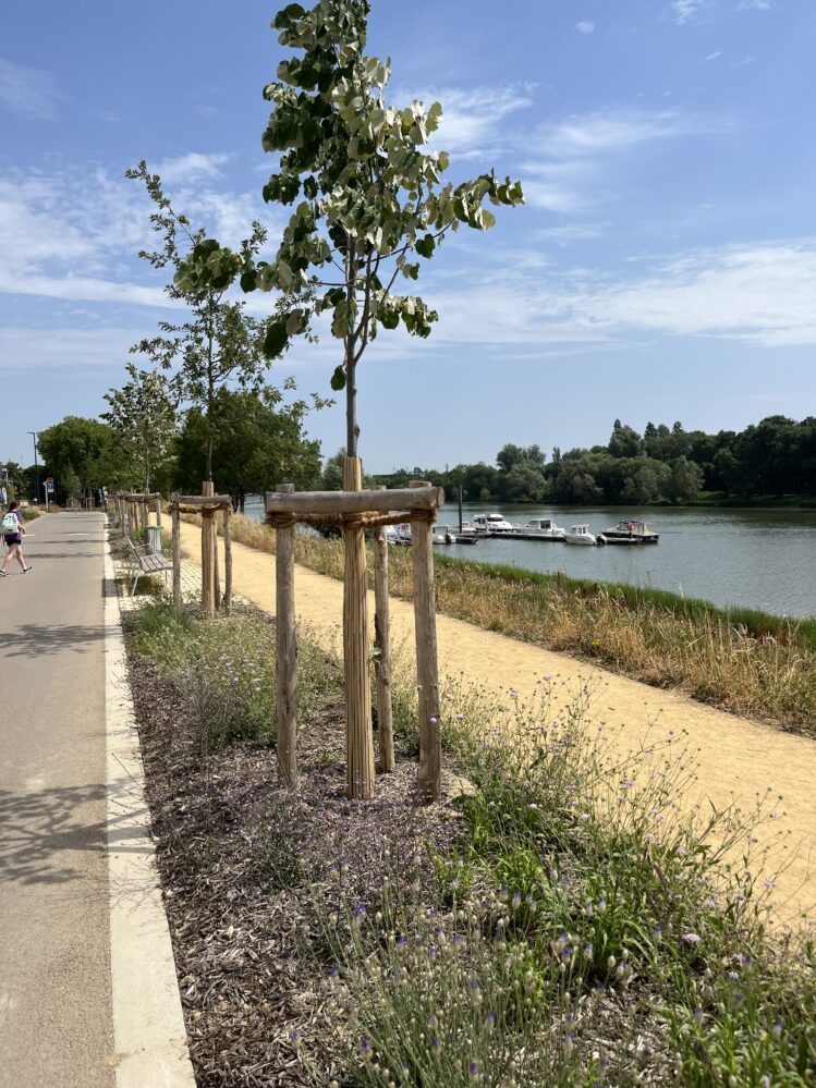 L'image présente les berges réaménagées d'Angers sous un autre point de vue.
À gauche, on peut voir la route, longée par différents arbres, avec quelques coureurs. Des arbres nouvellement plantés et la petite route de terre, permettant aux différents usagers de marcher à côté du fleuve, sont également présents sur la photo.