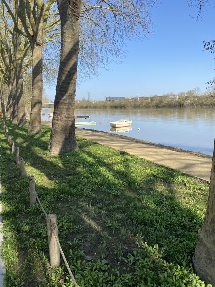 L'image présente les berges réaménagées d'Angers. À gauche, des pontons longent la route, sécurisant les piétons et les usagers routiers. Au milieu, les nouveaux arbres plantés par Terideal ; plus à droite encore, il y a l'espace permettant aux vélos et aux piétons de faire leur sport ; et, finalement, tout à droite, les magnifiques berges reculées avec quelques bateaux amarrés dessus.