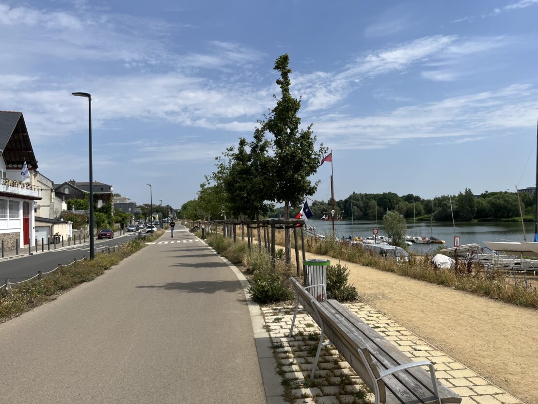 La vision ici est totale : la route avec les aménagements cyclables, les nouveaux arbres, la route de terre et, finalement, les berges.