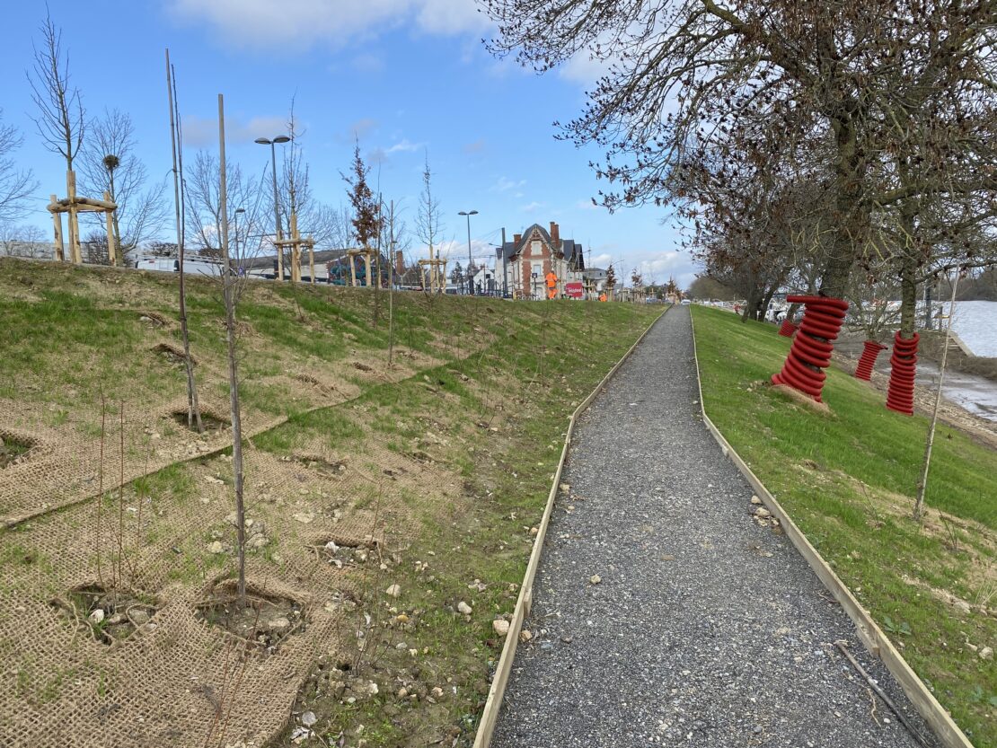 Nous observons ici l'état initial des lieux, où la route reste à aménager et les arbres, encore dépouillés, sont protégés par divers dispositifs de sécurité. Le travail réalisé par les différentes équipes sur ce chantier est ici particulièrement manifeste.