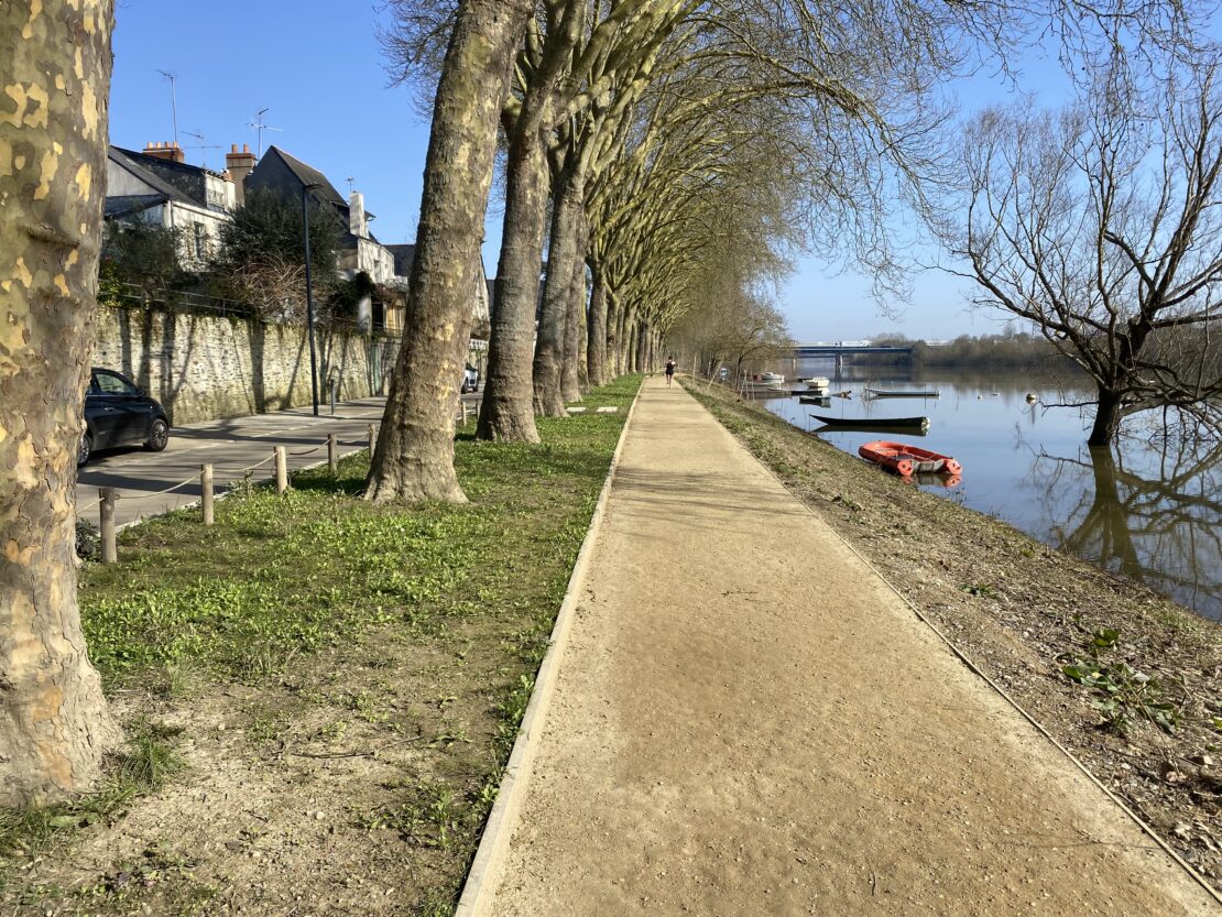 Cette image met principalement en avant le chemin de terre aménagé par Terideal le long de la berge. Entouré de l'eau et des arbres, un petit coin paisible.